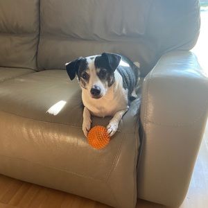 Meet your Posher, Marie